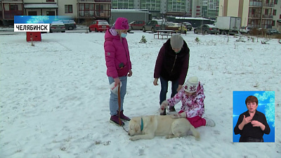 Собаки помогают детям с ОВЗ