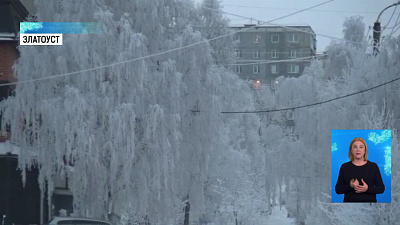 На деревьях в Златоусте появился снежный узор