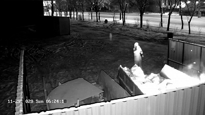 Видео огненного ритуала: женщина подожгла мусорный контейнер