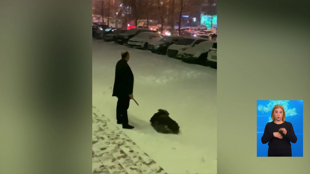 Зарезавший барана в сквере — найден