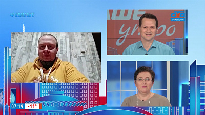 Гость на связи — Ёлка на дом