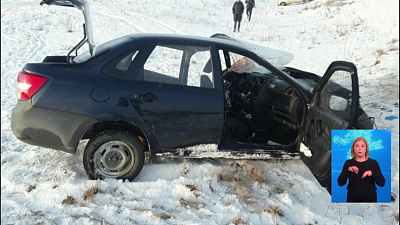 В Златоусте автоледи на скорости въехала в столб