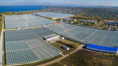 Суд прекратил производство по делу о банкротстве агрокомплекса «Чурилово»