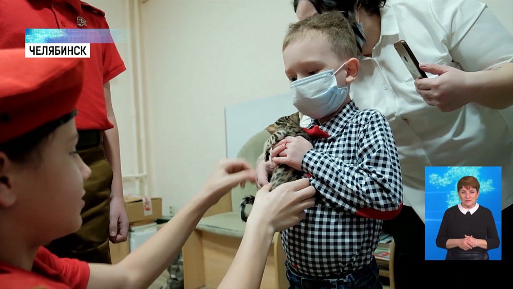 Онкобольному малышу подарили бенгальского кота