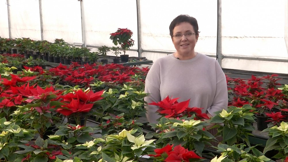 Зеленая передача 10.12.2020