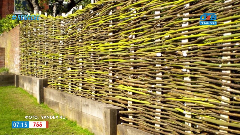 Рубрика «Добавь обороты» — Гол как соко́л