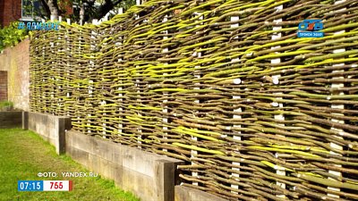 Рубрика «Добавь обороты» — Гол как соко́л