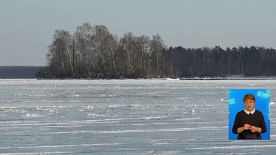 В Снежинске ищут баконьеров
