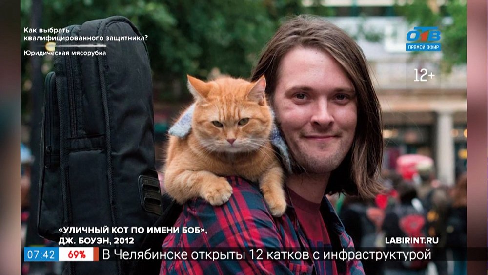 Читать — не перечитать — Книги о кошках