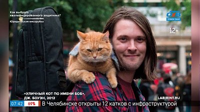 Читать — не перечитать — Книги о кошках