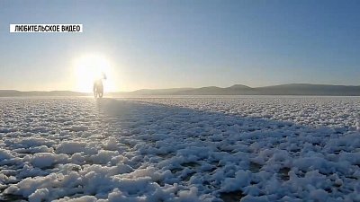 «Ледяные цветы» выросли на озере Тургояк