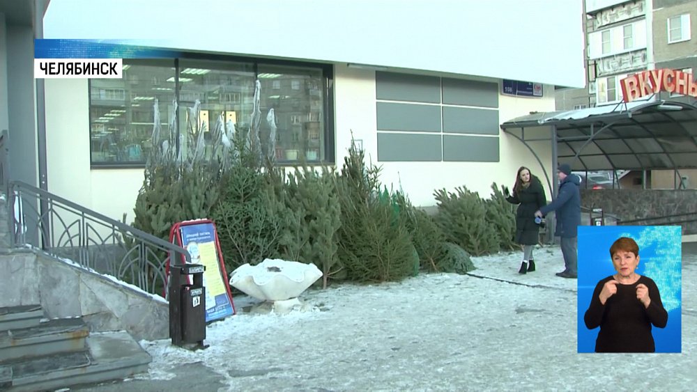 Нелегальным елочным базарам грозит штраф