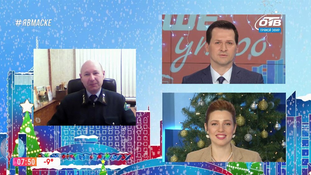 Гость на связи — Незаконный спил ёлок