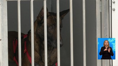 У спасателей-кинологов появились GPS-трекеры