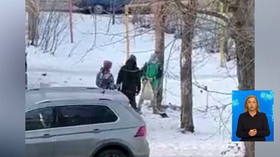 Школьник пытался поджечь голубя