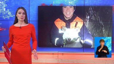 Челябинские спасатели вызволили собаку из западни