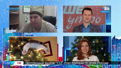 Гость на связи — чем опасен Новый год для домашних животных