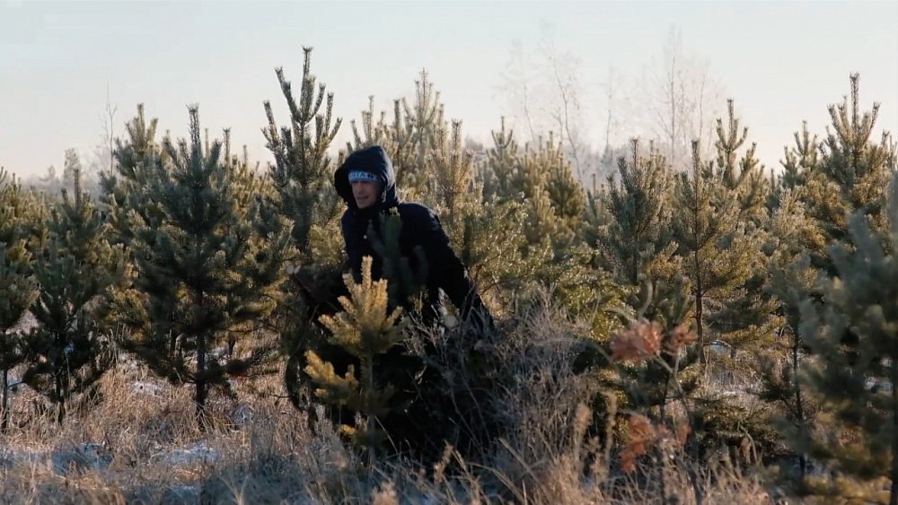 «ЭкоЛогика». Что таит документ опережающего экологического развития?