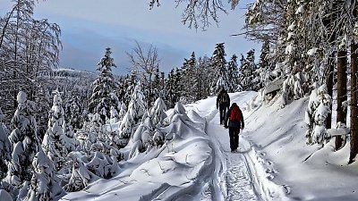 Челябинская область заняла 16 место в Национальном туристическом рейтинге