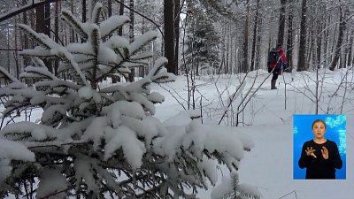 80-летний лыжник пропал в лесу