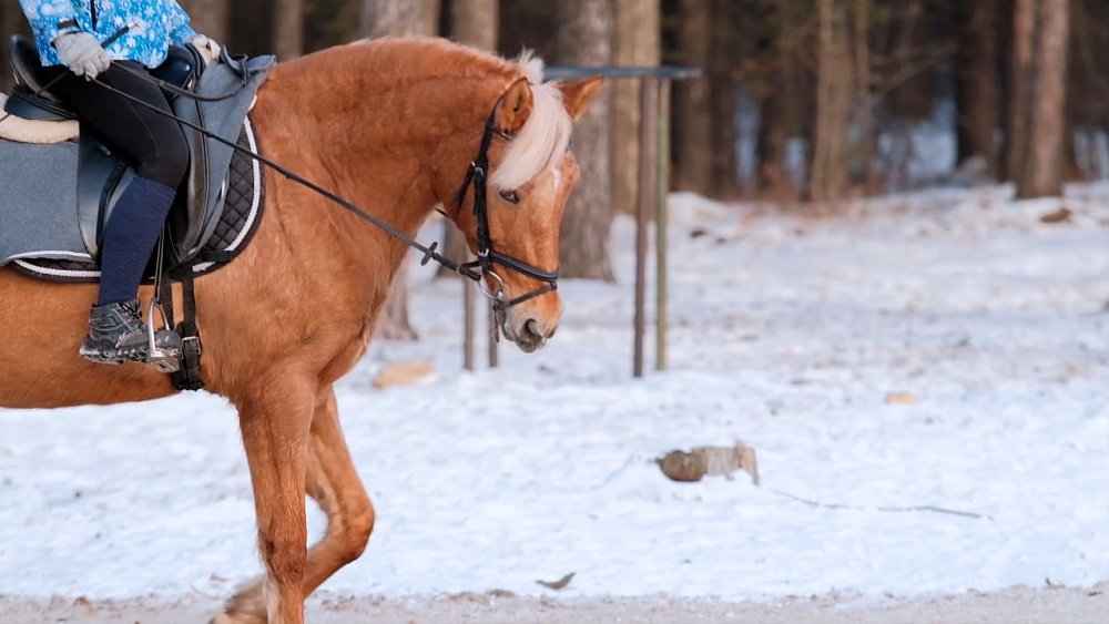 Некоммерческие организации Челябинска: вызовы и победы 2020
