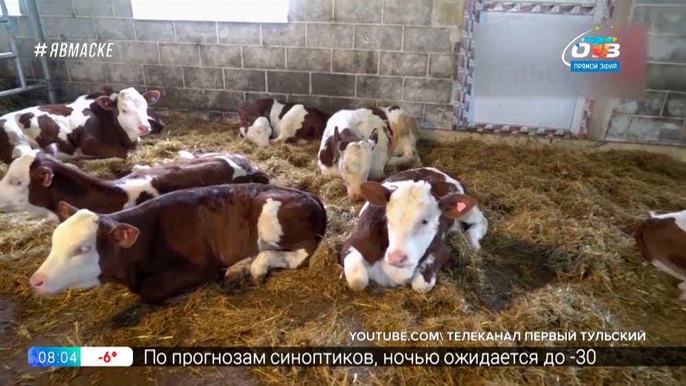 Инспектор Гаджет — Стадный инстинкт под контролем!