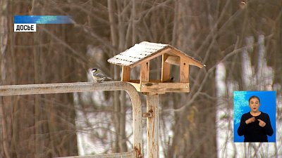 Диетологи советуют не переедать в праздники
