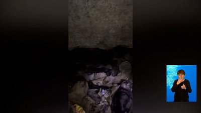 Зоозащитники нашли клшадбище домашних животных