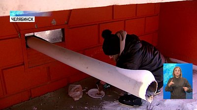 От холода страдают бродячие животные