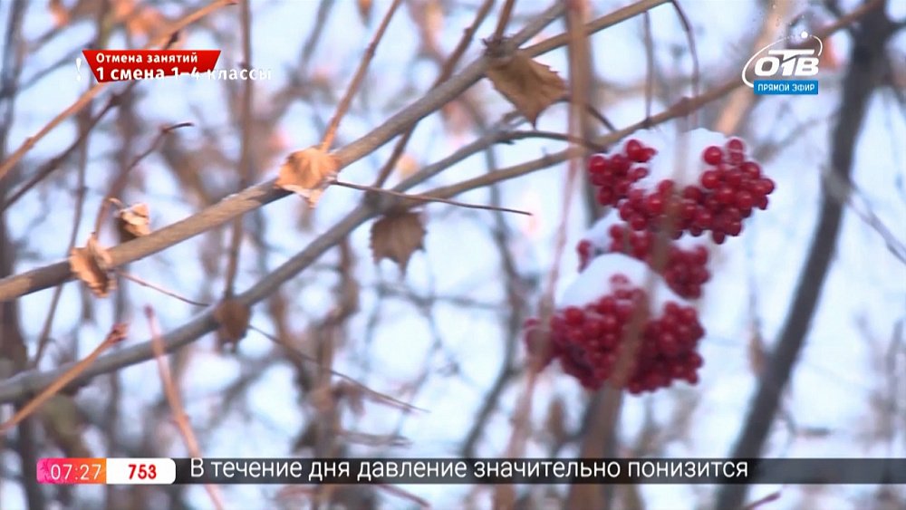 Руки садовода — Чем заняться садоводу в январе?