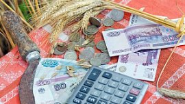 На компенсацию льготных кредитов аграриям Челябинской области направят 706 млн рублей На компенсацию льготных кредитов аграриям Челябинской области направят 706 млн рублей