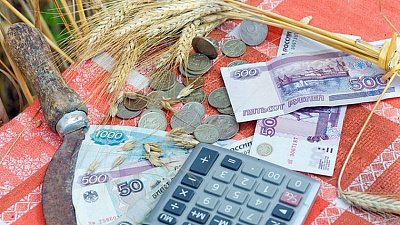 На компенсацию льготных кредитов аграриям Челябинской области направят 706 млн рублей