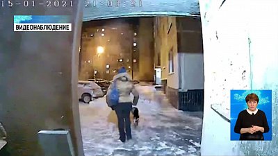 Хозяйку Шарика нашли благодаря видеодомофону