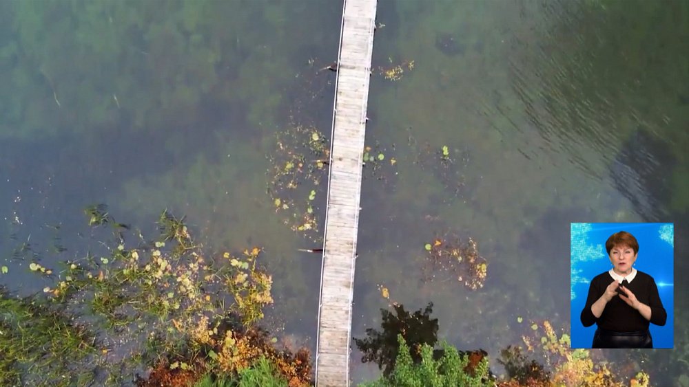 Расследование по делу убитого дайвера окончено