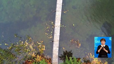 Расследование по делу убитого дайвера окончено