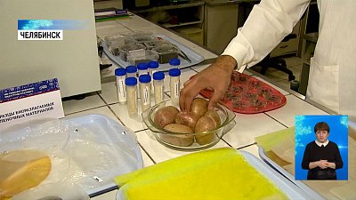 Учёные ЮУрГУ создали биопластик и биопосуду
