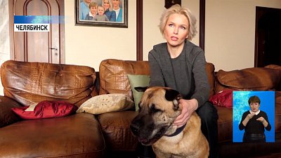 Грей осваивается в новой семье