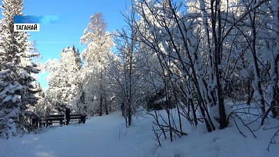 Предпринимателям помогут развивать туризм