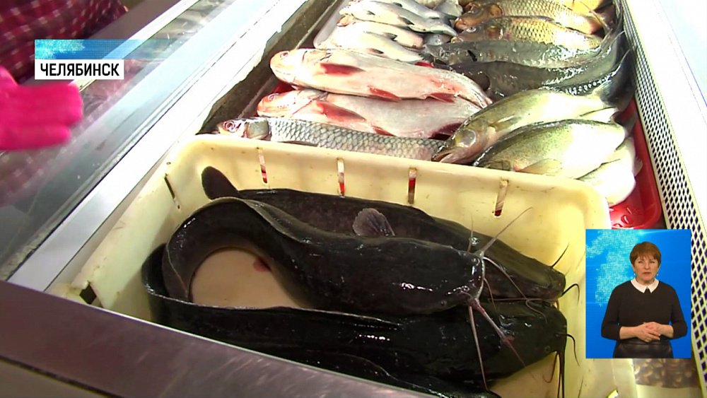 На регионе выращивают деликатесные виды рыб