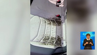 Автомобиль южноуральца покрылся плесенью