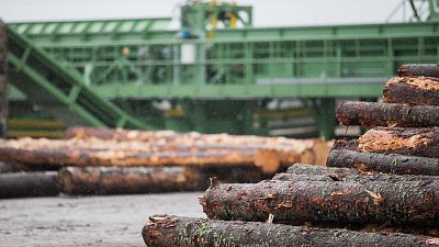 Лесопромышленники Челябинской области смогут получить заем до 500 млн рублей