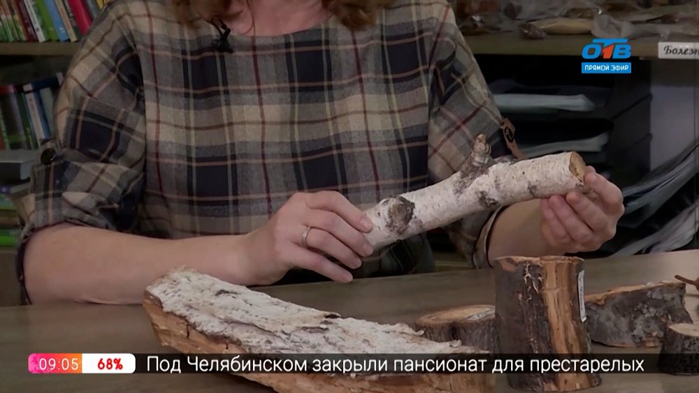 Руки садовода — Обследуем деревья зимой