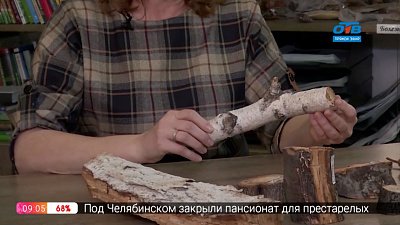 Руки садовода — Обследуем деревья зимой