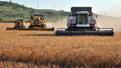 Индекс производства продукции сельского хозяйства в Челябинской области снизился на 11%