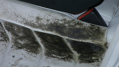 Автомобиль Миасца покрылся плесенью