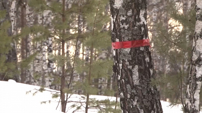 Московские туристы устроили переполох на Таганае