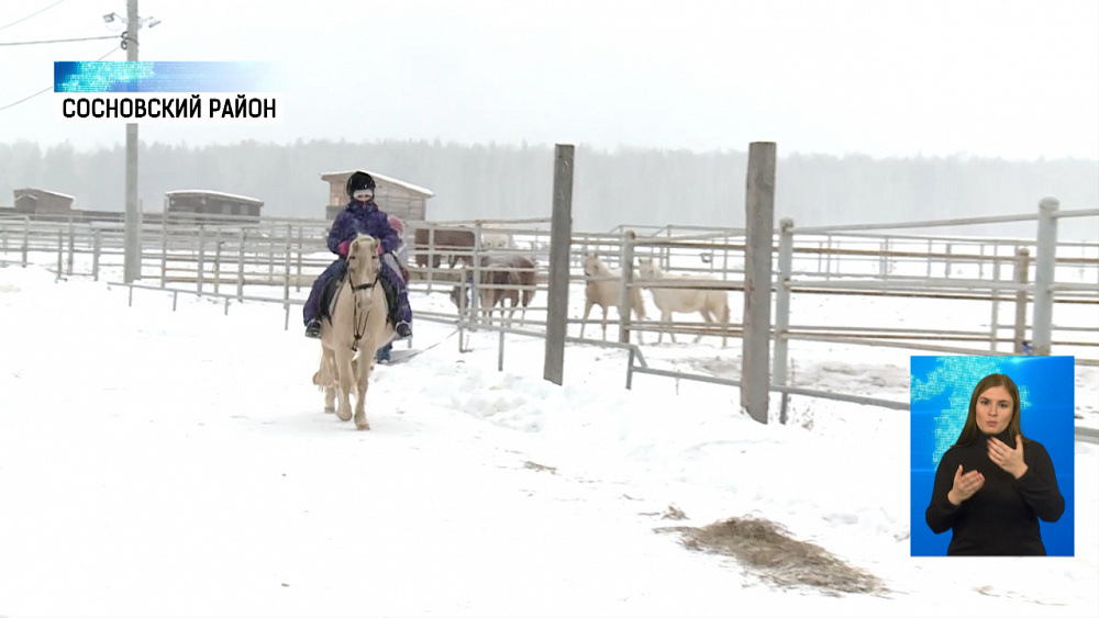 На Южном Урале развивают пони-спорт