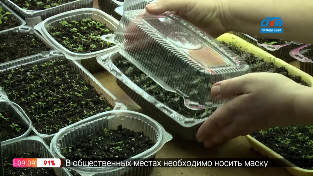 Руки садовода — Чем заняться садоводу в феврале