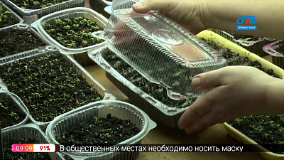 Руки садовода — Чем заняться садоводу в феврале