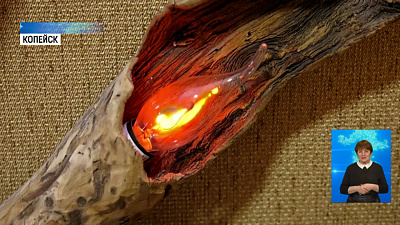 Житель Копейска создаёт декор из коряг